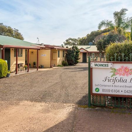 Ficifolia Lodge Parndana Luaran gambar