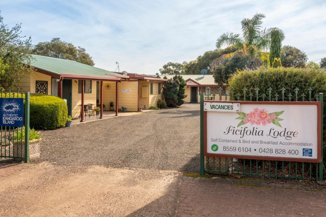 Ficifolia Lodge Parndana Luaran gambar