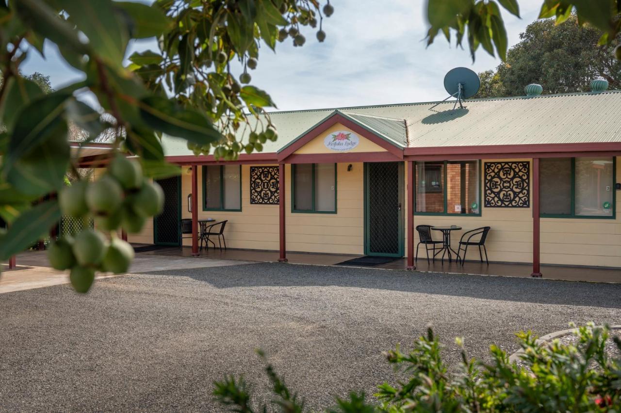 Ficifolia Lodge Parndana Luaran gambar
