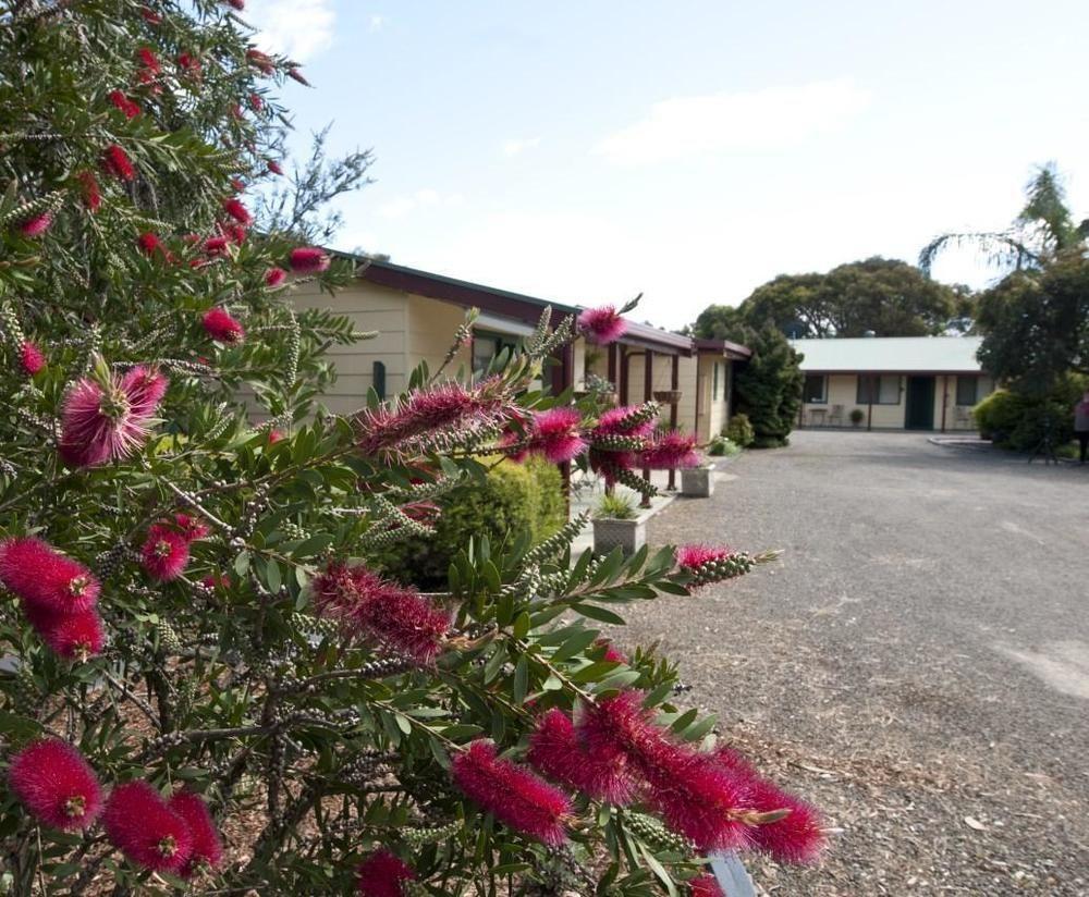 Ficifolia Lodge Parndana Luaran gambar