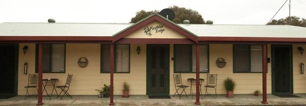 Ficifolia Lodge Parndana Luaran gambar