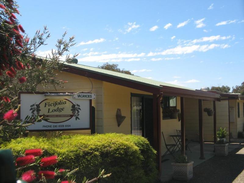 Ficifolia Lodge Parndana Luaran gambar