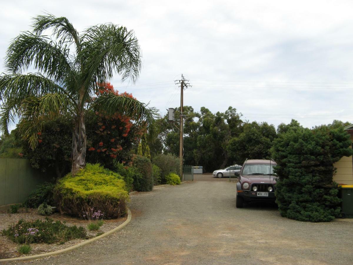 Ficifolia Lodge Parndana Luaran gambar